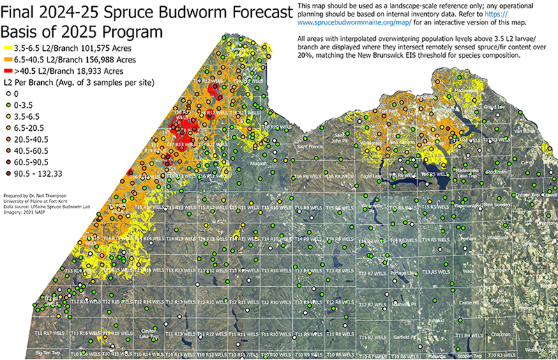 A map displaying the final 2024-2025 forecast of spruce budworm populations for the basis of the 2025 Early Intervention Strategy.